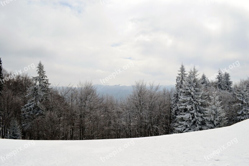 Winter Scene Mountain Wonderland Forest