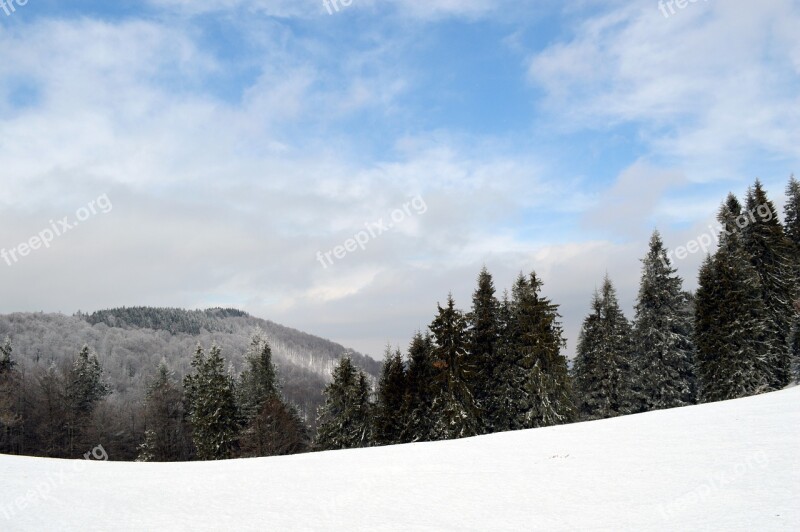 Winter Scene Mountain Wonderland Forest