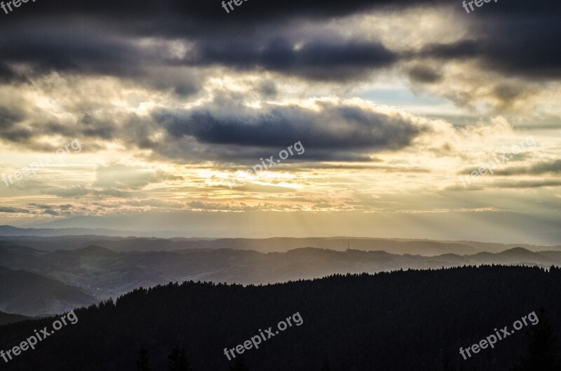 Pinwheel Black Forest Wind Turbine Wind Power Nature