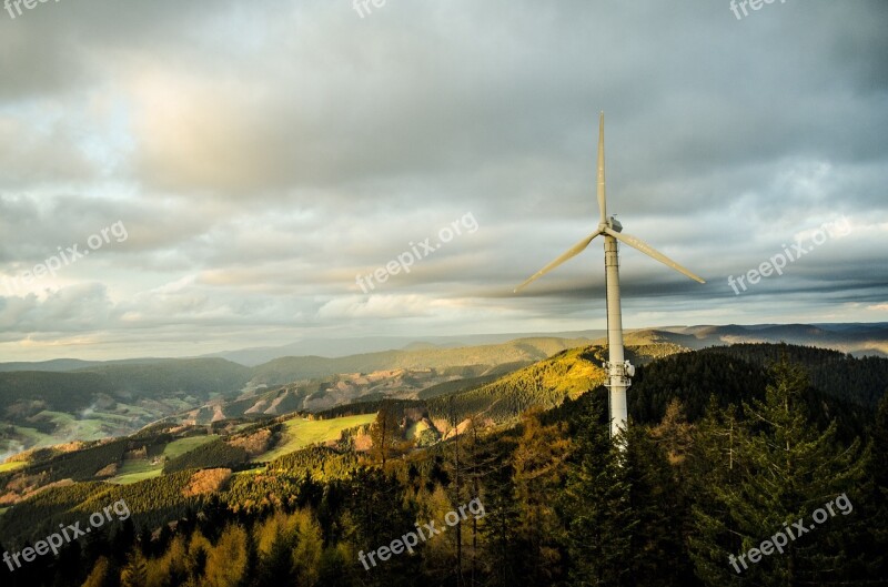 Pinwheel Black Forest Wind Turbine Wind Power Nature