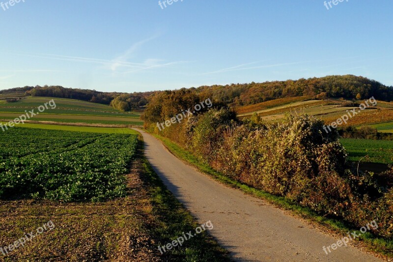 Austria Burgenland Path Fields Autumn