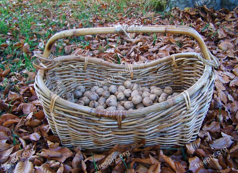 Basket Wicker Basket Free Photos