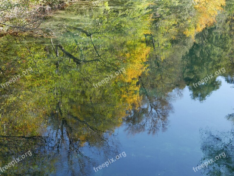 Reflection Tree Fall Mirror Water Plan