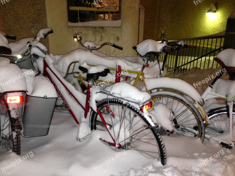 Winter Bikes Smudge In Winter Coat Free Photos