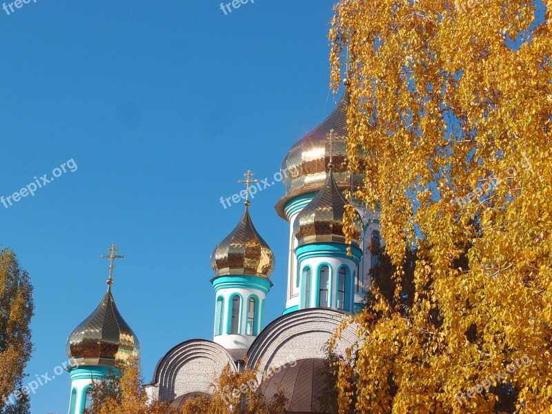 Autumn Church Birch Yellow Gold