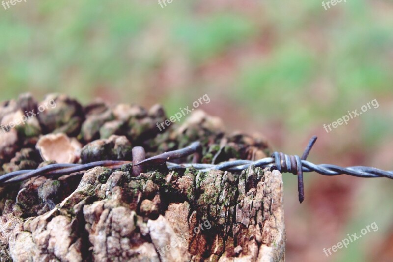 Wooden Mast Wire Wire Fence Wiring Wood