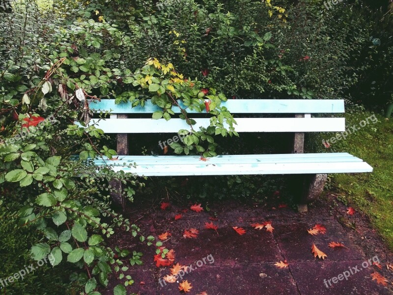 Bank Garden Park Rest Garden Bench