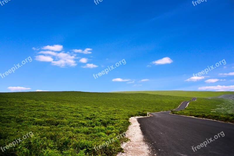 Australia Kangaroo Island Kangaroo Iceland Free Photos