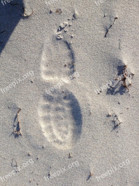 Beach Sand Traces Tracks In The Sand Shoes