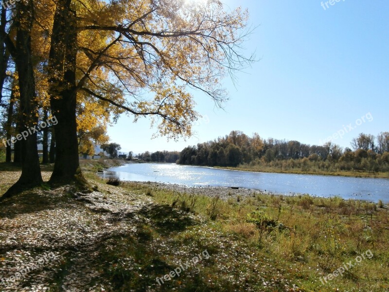 Autumn Trees Nature Stroll Landscape