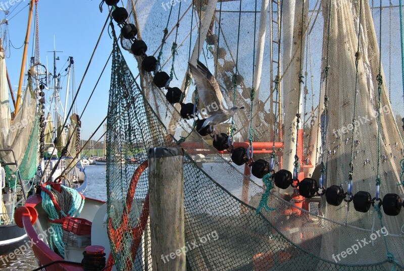 Fishing Boat Networks Seagull Sea Fishing Net