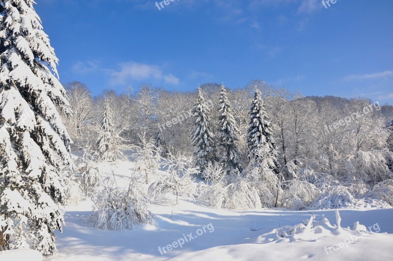 Vosges Winter Snow Free Photos