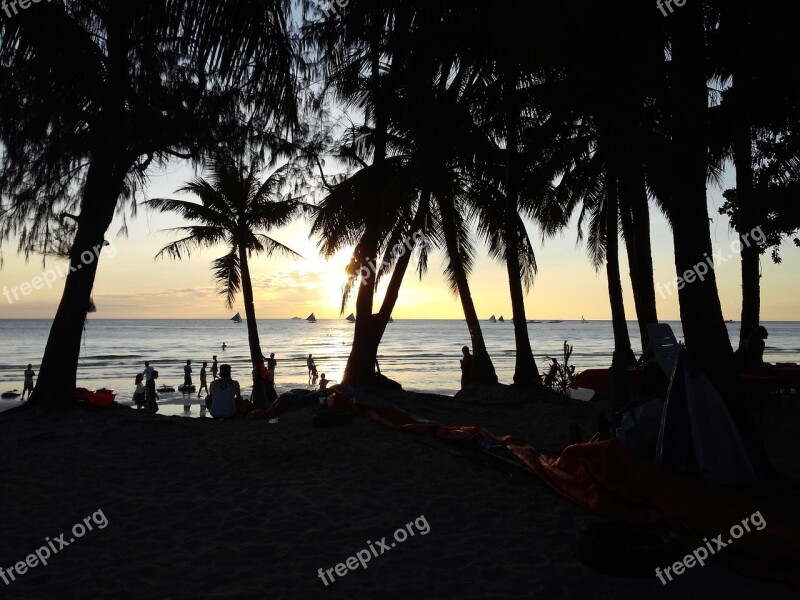 Boracay Beach Recreation Area Travel Palm Tree