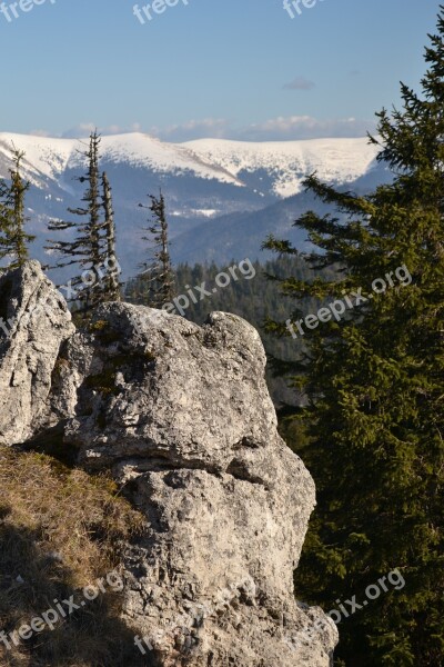 Views Mountains Forest Rock Slovakia