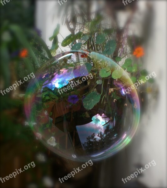 Soap Bubble Blow Giant Soap Bubbles Make Soap Bubbles Puste Fix