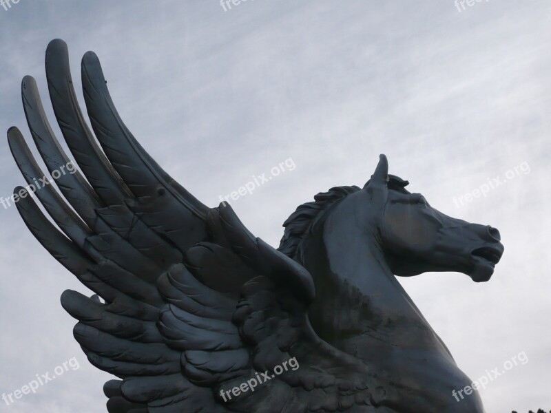 Horse Wing Sky Pegasus Say