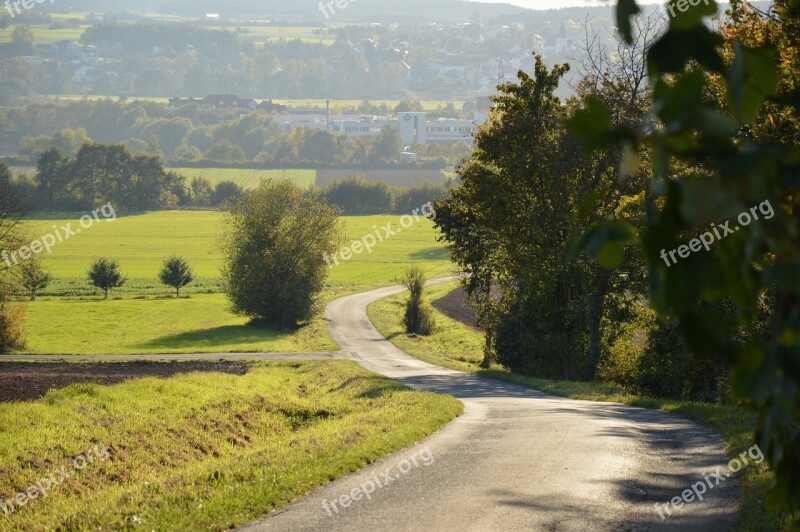 Landscape Away Trees Autumn Leaves