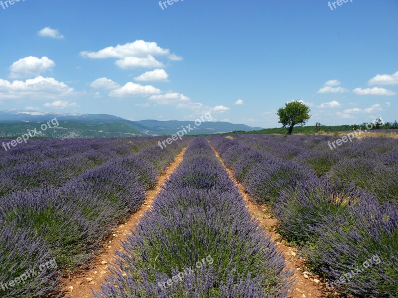 Provence Lavender Clouds France Mediterranean