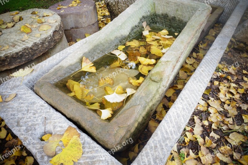 Sink Autumn Small Fresh Free Photos