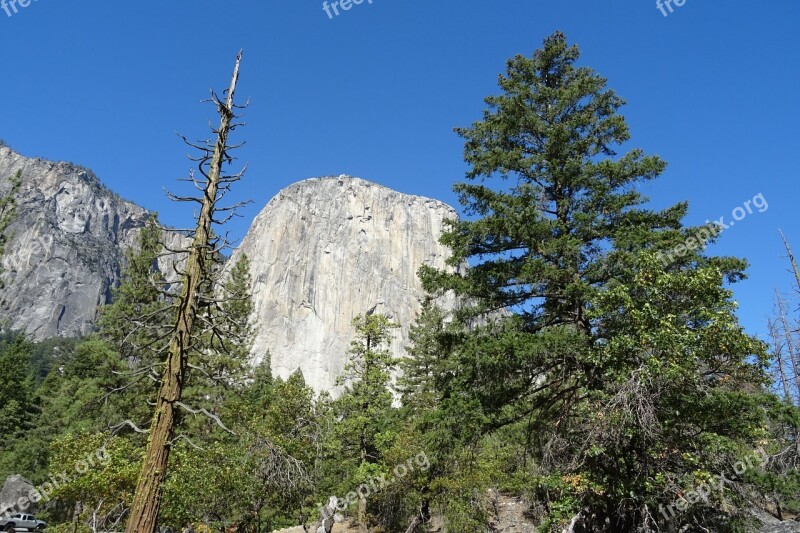 Yosemite National Park El Capitan Incense Cedar Rock Formation