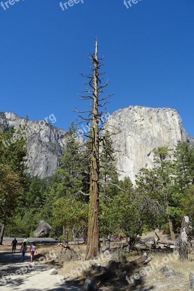 Yosemite National Park El Capitan Panorama Rock Formation