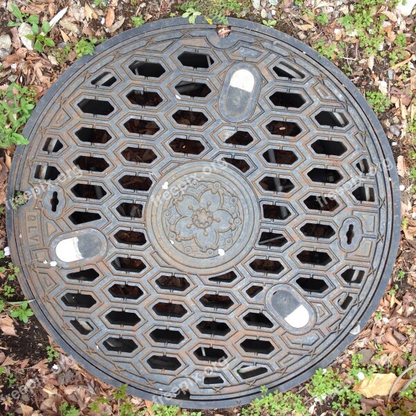 The Manhole Lid Cherry Blossoms Free Photos