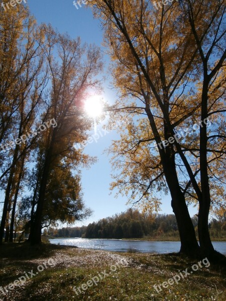 Water Small River River Autumn Trees