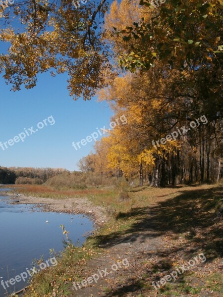 Water Small River River Autumn Trees