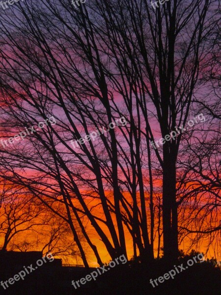 Trees Sunset Twilight Evening Sun Mood