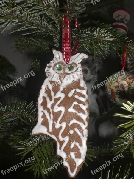 Gingerbread Fir Tree Owl Tannenzweig Free Photos