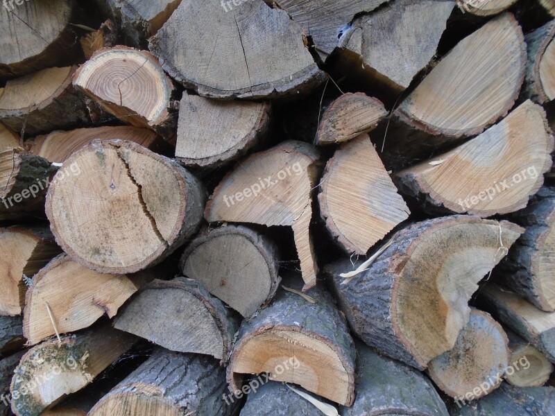 Wood Woodpile Fuel Nature Cut