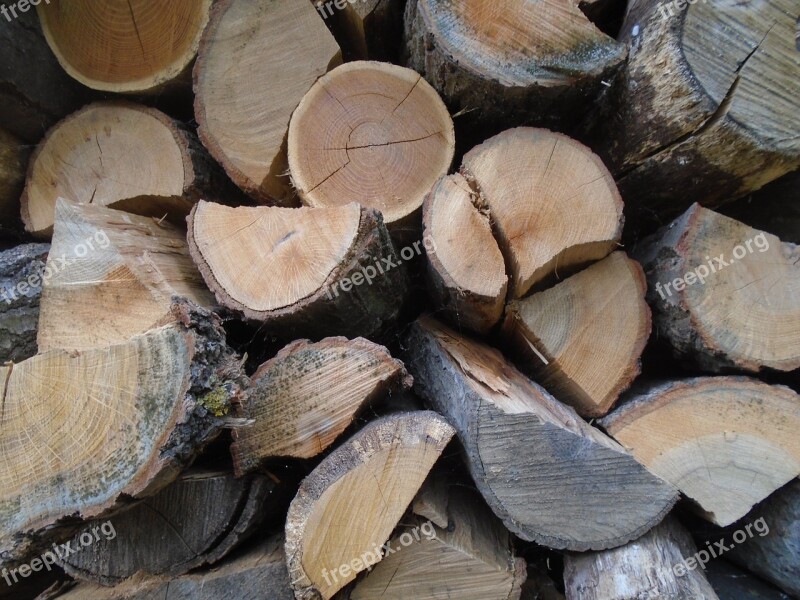 Wood Woodpile Fuel Nature Cut