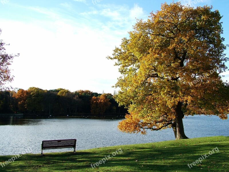 Tree Park Landscape Green Country