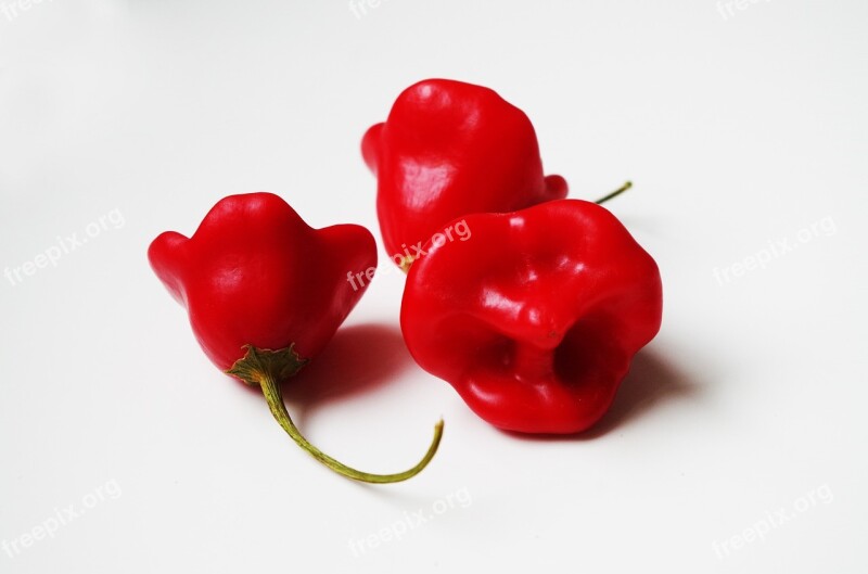 Peppers Red Episcopal Hat Habanero Spicy