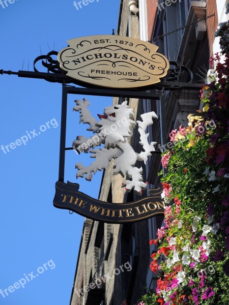 London Shield Pub Free Photos