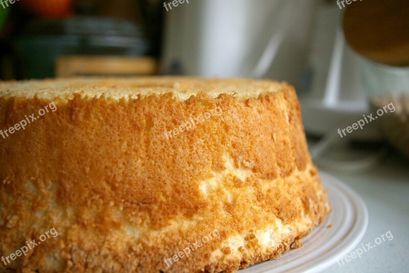 Angel Food Cake Macro Food Dessert Homemade