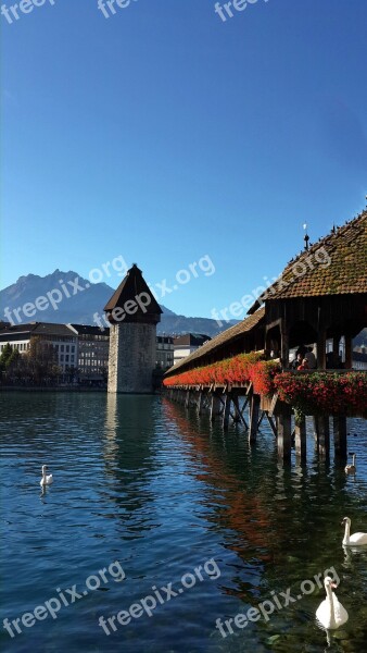 Lake Lucern Bridge Swiss Free Photos