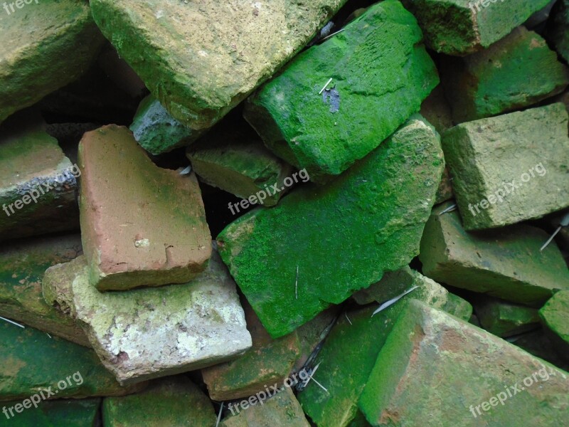 Brick Pile Of Bricks Moss Mossy Building Materials