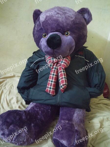 Bear Toy Purple Dressing Up Teddy