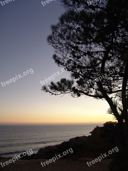 Algarve Sunset Vacations Evening Tree