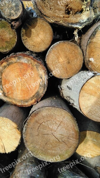 Wood Stack Firewood Holzstapel Nature