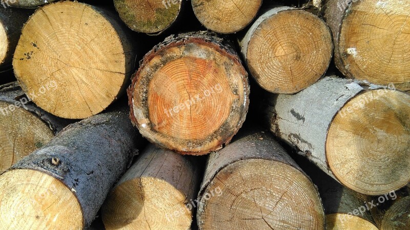 Wood Stack Firewood Holzstapel Nature