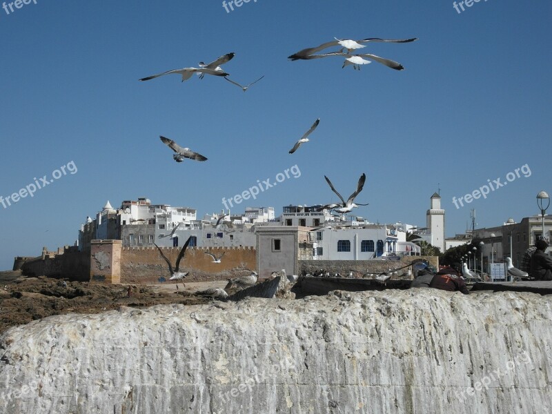 Essaouira Morocco Coast Atlantic Beach