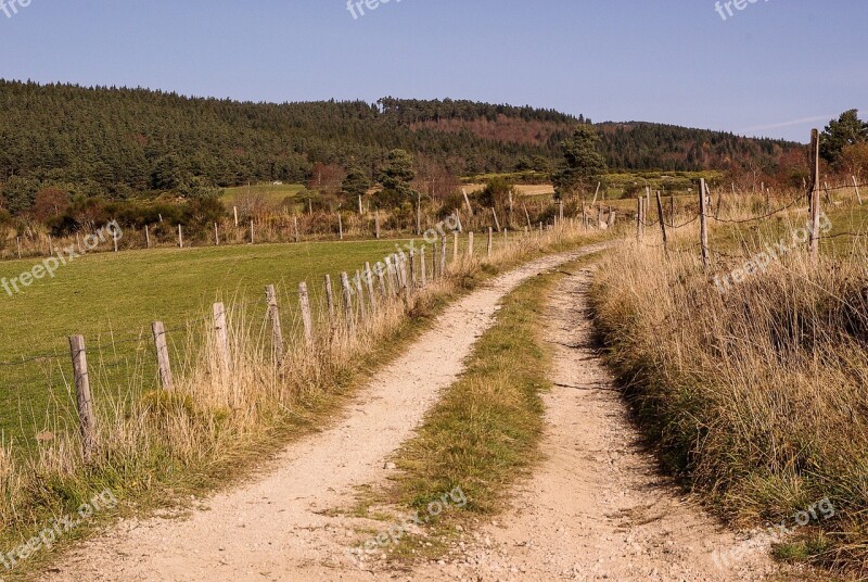 France Lozere Pasture Path Free Photos