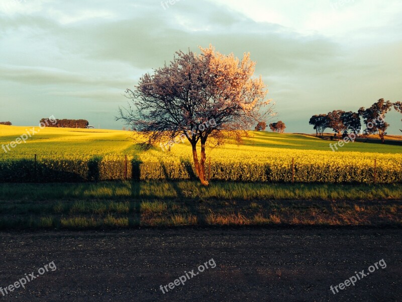 Sunset Storm Sky Landscape Color