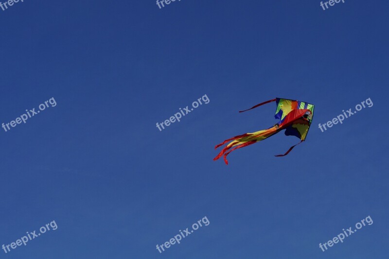 Dragon Kite Flying Kites Rise Sky Blue