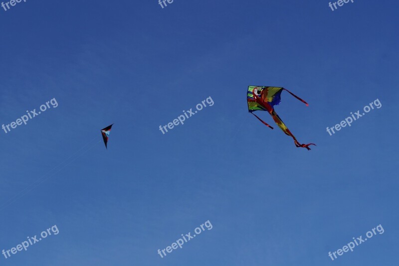 Dragon Kite Flying Kites Rise Sky Blue