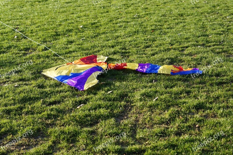 Dragons Kite Flying Sky Blue Autumn