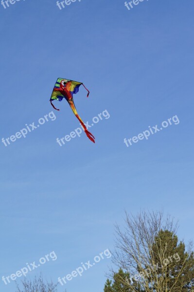 Dragons Kite Flying Sky Blue Autumn