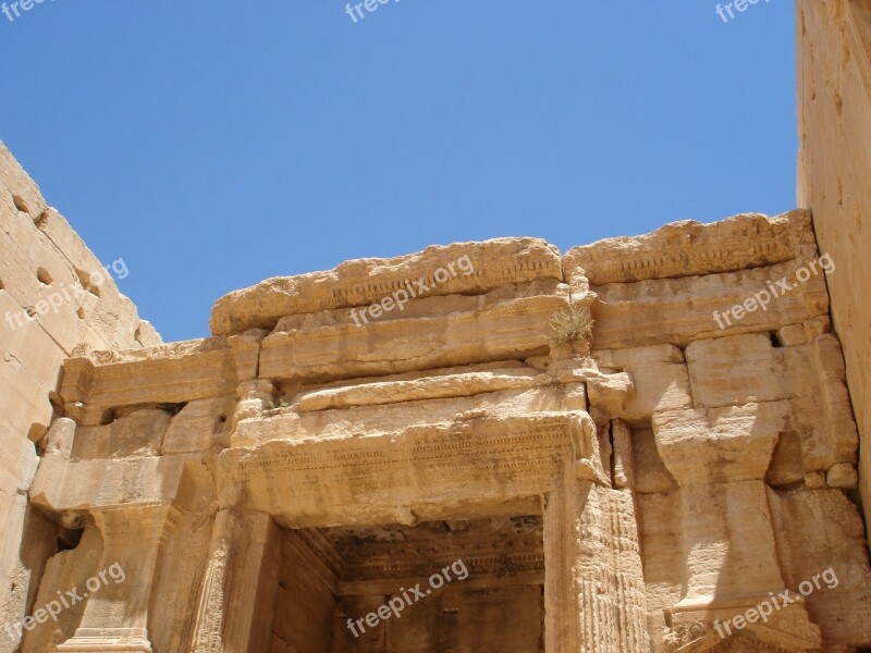 Palmyra Desert Pearl Semitic City Syria